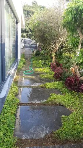 עיצוב ותחזוקת גינה